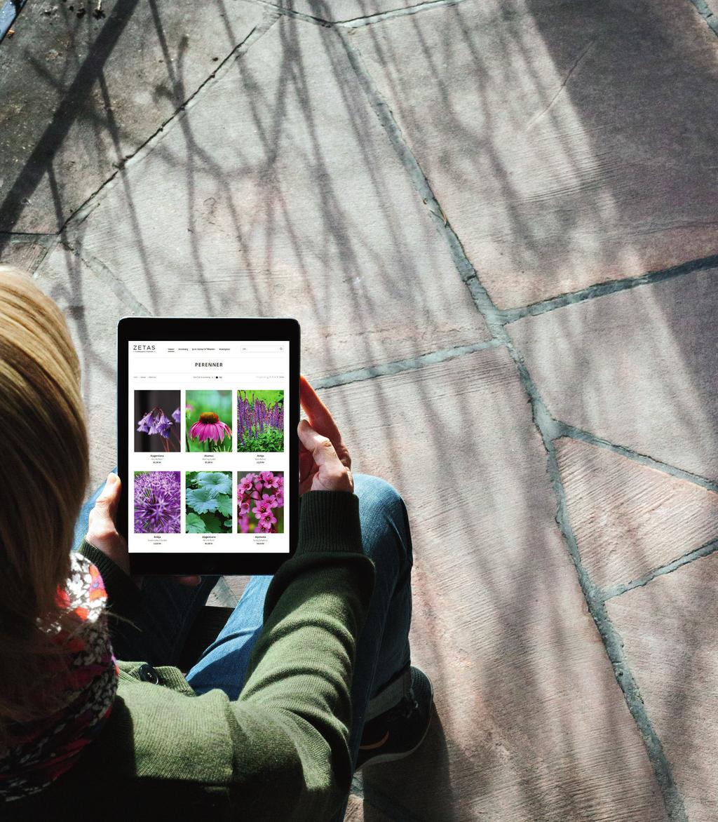 HANDLA VÅRA VÄXTER, INREDNING OCH TILLBEHÖR ONLINE! Våra trädgårdsmästare handplockar dina växter och varor på plats i Zetas Trädgård allt för att garantera högsta kvalitet.