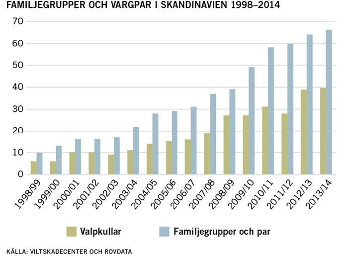 Figur 3. Antal familjegrupper och par samt antal vargföryngringar (valpkullar) i Skandinavien från vintern 1998 till vintern 2013/14.