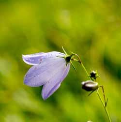 #reservatihalland Naturen är till för alla.