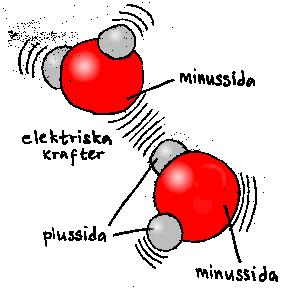 Syret i vattenmolekylen är elektriskt negativt laddad. Vätet är elektriskt positivt laddad.