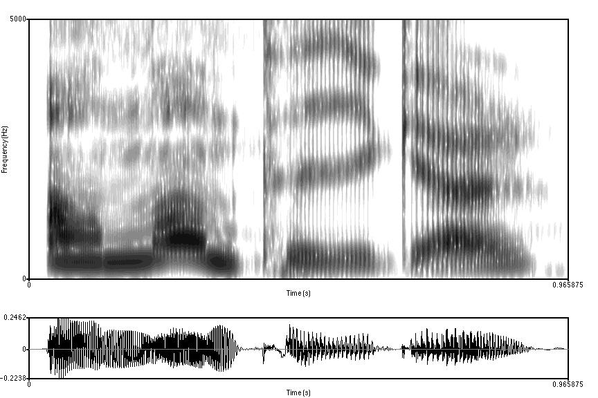 Introduktion Hörselorganen gör en spektrografisk analys av