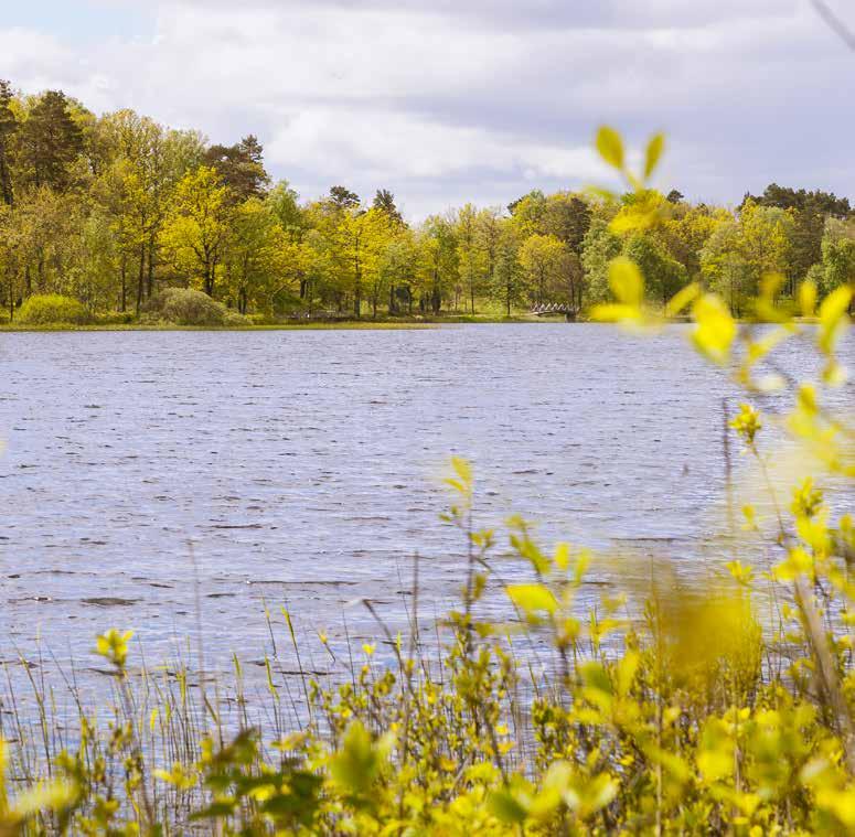 FLER GODA SKÄL ATT INSTALLERA EN LUFT/VATTEN-VÄRMEPUMP FRÅN NIBE NIBE luft/vatten-värmepumpar är lätta att installera, använda och underhålla. De kan installeras på praktiskt taget all slags mark.