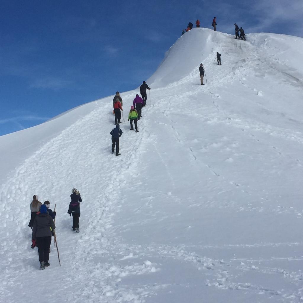 Augusti 2017 1 2 3 4 5 6 7 Paddlingsturer 8 Paddlingsturer 9 Paddlingsturer 10 Paddlingsturer 11 Paddlingsturer 12 13 14 15 16 17 18 19 20 Strövare, och Stavgång se januari månad 7-11 aug Paddling i