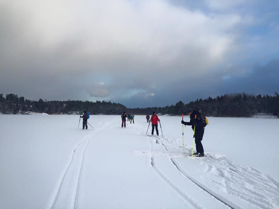 Februari 2017 1 2 3 4 5 6 7 8 9 10 11 12 Strövare, och Stavgång se januari månad 13 14 15 16 17 18 19 Långfärdsskridsko Kerstin Olsson,