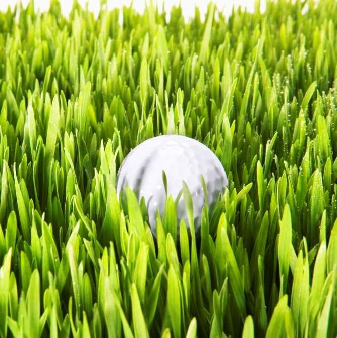 1 Kallelse till årsmöte i Tyresö Golfklubb Måndagen den 31 mars 2014 kl. 19.