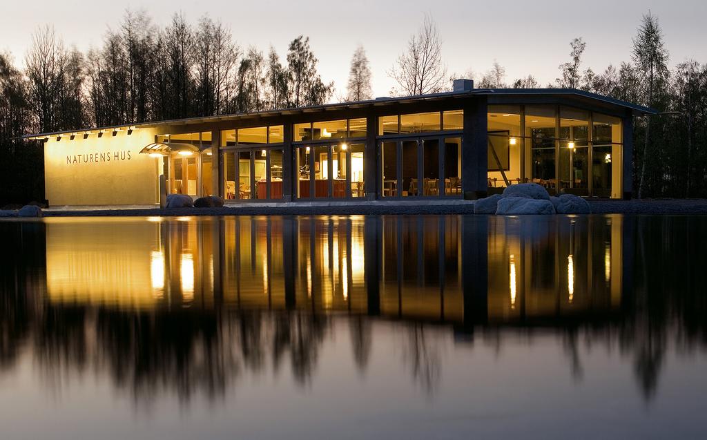 Utställningar på Naturens hus Den stora förvandlingen Fredag 5 maj lördag 30 september En bildutställning som skildrar omvandlingen från den starkt förorenade Oljehamnen till dagens oas Vattenparken