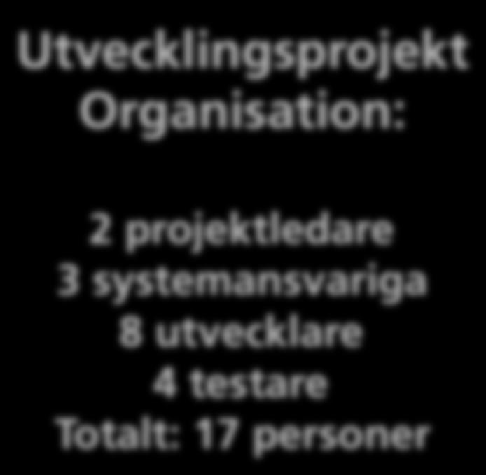 Referensram Utvecklingsmiljö: - Språk - Verktyg - OS 2 projektledare 3 systemansvariga 8 utvecklare 4 testare Totalt: 17 personer Kvalitetsuppföljning: granskningar mätdata 37 38 Några begrepp inom