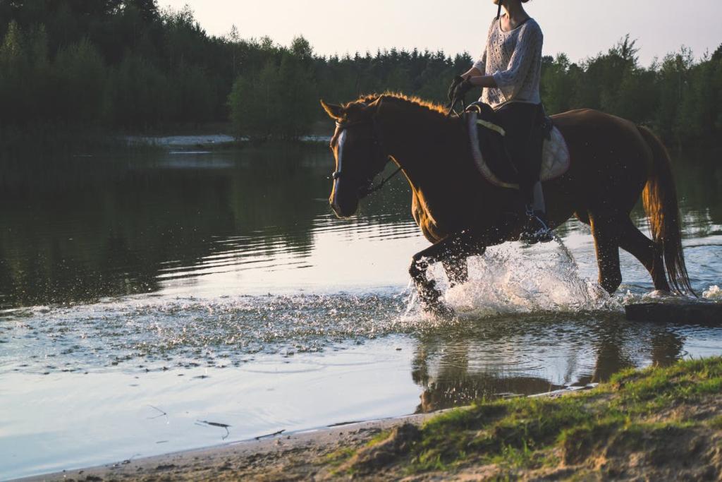 R I D L Ä G E R B E G R Ä N S A T A N T A L P L A T S E R! 26-27 juni, v.26 10-15 år 28 juni Jan-Ols Gården mellan Kopparberg och Grängesberg ca 09.00 dag 1 till 15.