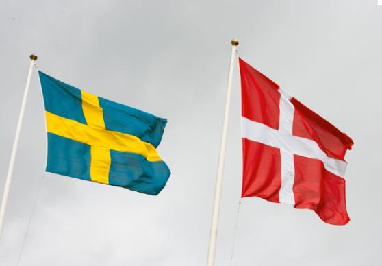 Nationaldagsfirande 7 juni Hjärtligt välkomna till dansk/svenska nationaldagsfirandet och vernissage tisdagen den 7 juni klockan 19.00 då våra medlemmar visar sin konst.
