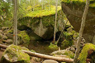Sida: 7 (15) Vandra i Tivedens nationalpark 6 juli Heldagsutflykt till Tivedens nationalpark.