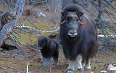 Se vår meny på hemsidan C Öppet mån-tis-ons-tor. Fredagar stängt Stängt 12/6.