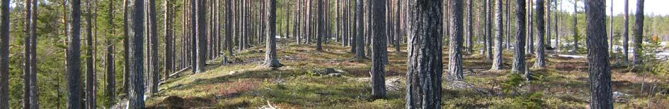 Förstudieområdet är beläget ca 350-500 m över havet.