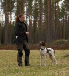 Idag finns det en kh vorsteh i familjen och vi hoppas på att snart kunna utöka flocken med en till, vi har även haft en basset som vi har jagat över en mycket trevlig erfarenhet.