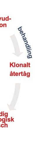 mikromiljön. En av dessa bildar en ny huvudklon vid ett recidiv, som i sin tur krymper om man uppnår effekt av nästa typ av behandling, vilket skapar ytterligare en ekologisk nisch, och så vidare.