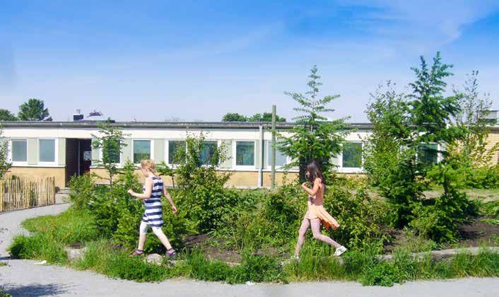 Tema skolan Gröna skolgårdar stimulerar alla sinnen blir bäst om de får växa fram långsamt och tillsammans Skolgården blir en allt viktigare plats för barns naturkontakt när andra grönytor blir