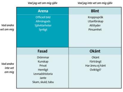 Acceptera den du är Ta ansvar för din utveckling!