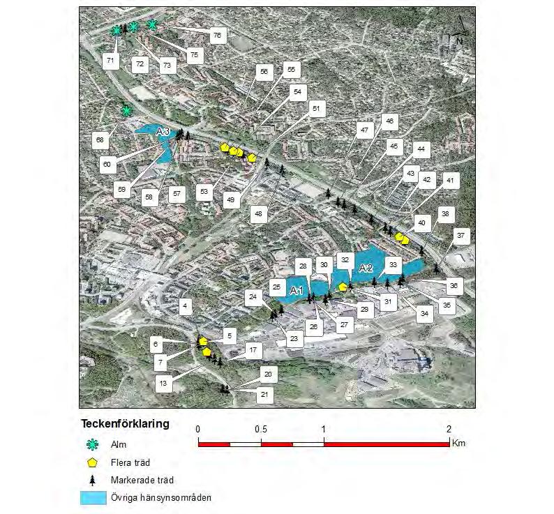 Bilaga 3 identifierade träd samt övriga områden Bilaga 3.