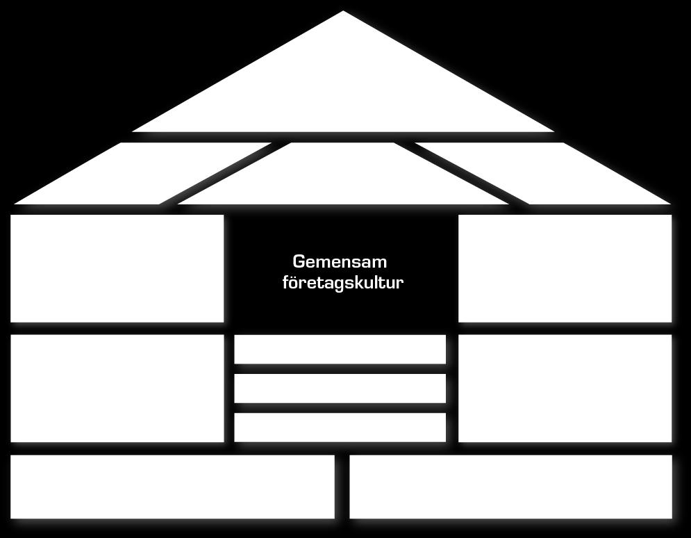 1 New Boliden Way New Boliden Way är grunden för Boliden AB vad gäller dess produktions- och organisationsfilosofi som beskriver vad företaget gör, varför de gör det och hur de gör det.