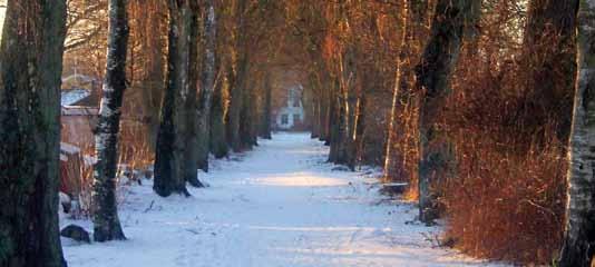 Nya gudstjänsttider på Sannagården och Storegården! Från och med nästa vecka, onsdagen den 21 december, firar vi gudstjänst kl 14.30 på våra särskilda boende.