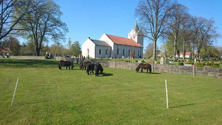 Kyrkan en Kristi himmelsfärdsdag Kristi himmelsfärdsdag den 5 maj 2016, fick jag anledning att göra följande reflektion. Tema för dagen handlar om Jesu upplyftande till himlen.