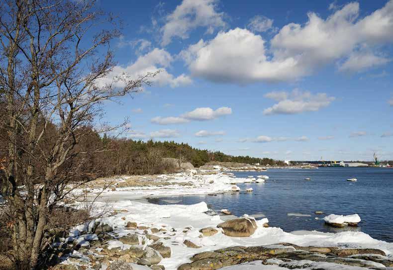 Morgon i en vik Vårsolen och reflektionerna i den smältande snön skiner ikapp när jag närmar mig bruket. Tänk vad bra det blev! Det var inte länge sen som hela näringsväven i havsviken var störd.