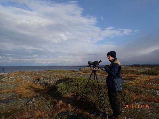 stor rackare. Den bestämdes av Erik till vitnäbbad islom, när den drog bortåt åt söder. Ingen dålig utdelning på några minuter Thorbjörn skådar från Gubbanäsan. Foto Karin Hendahl.