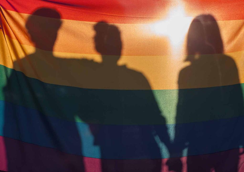 Hbtq-personer utsatta för hedersrelaterat våld och förtryck utsätts ofta också för hatbrott från både familj och släkt men även av okända gärningspersoner.