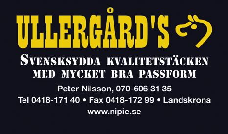 Breeders Crown är och har alltid varit den mest rättvisa travtävlingen i Sverige. Här tävlar stona mot sina kullsystrar och hingstar/valacker mot sina kullbröder.