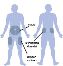 10. Injektionsteknik Insulin skall injiceras i underhudsfettet (subcutant), området mellan hud och muskel, varmed läkemedlet tas upp till blodet i en jämn takt.