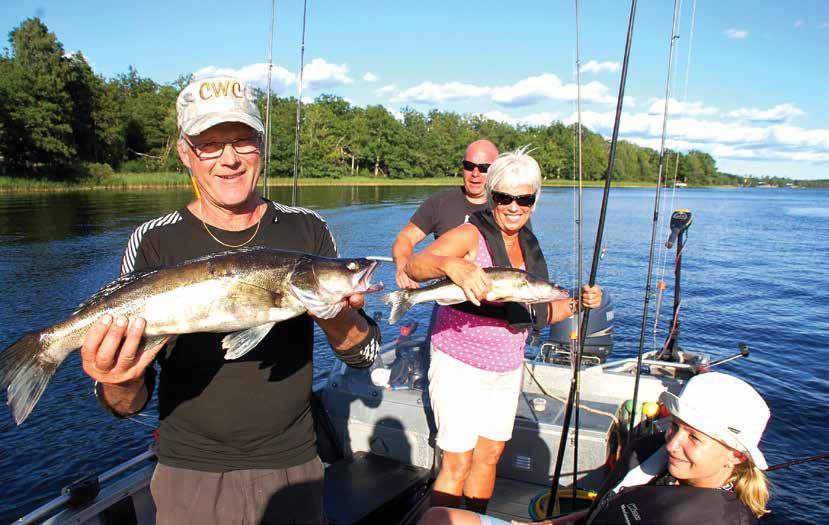 Fishing Fish from the shore, dock or boat for Wallye, Pike and Perch in Lake Tiken.