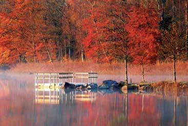 Autumn Camping Experience a peaceful and serene fall season at Tingsryd Resort with a slower pace and