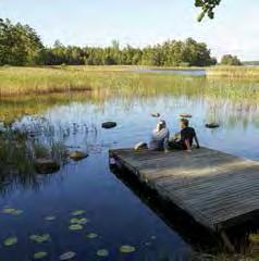 VÄLKOMMEN TILL Tingsryds kommun där livet är härligt! NYA & Även fina begagnade vagnar... Butik och verkstad TINGSRYDS PASTORAT www.svenskakyrkan.