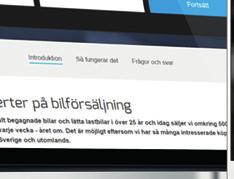 som hjälper köparen att få en rimlig prisbild av fordonet.