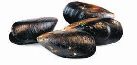 Besöker du Bohuslän under hösten smakar man faktiskt de bästa av de allra godaste skaldjuren såsom ostron, havskräftor och musslor, men inte minst hummern, som bekant är den mest exklusiva