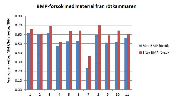 rötningsprocessen. Figur 10. Andelen ammoniumkväve (NH 4 + ) i förhållande till totalkväve (TKN) före och efter utrötning av biomassa från rötkammare.