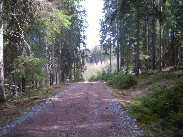 Natur & kultur Inga nyckelbiotoper eller områden med höga naturvärden finns