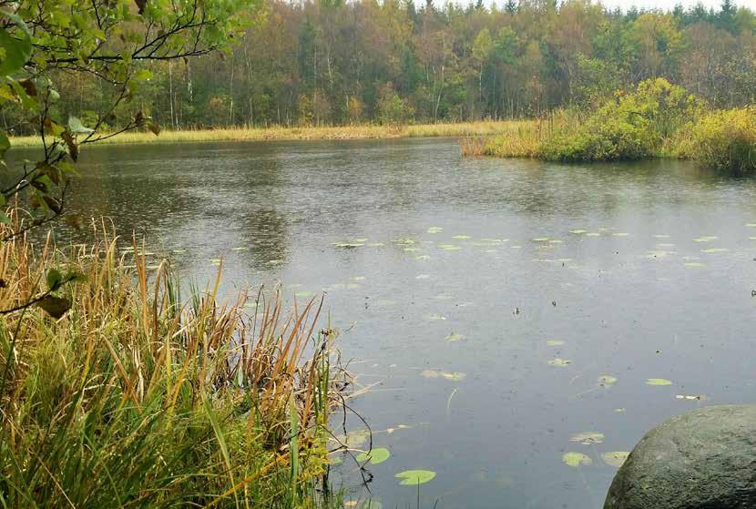 Sjököpssjön Det tappra gänget som trotsade vädret Kjell Nyström och Kajsa Åbjörnsson I Långaröd samlades söndagen 9 oktober ett dussin naturintresserade ortsbor som inte räddes regnet för avfärd till