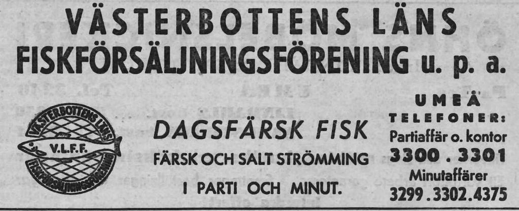 Erik Englund - Butik Storgatan 51 Butik Ersmarksgatan 24 1966 Fiskförsäljning Nya Fiskaffären Brogatan 6 Tel. 4249 1952 Västerbottens Läns Fiskförsäljningsförening, Tel.