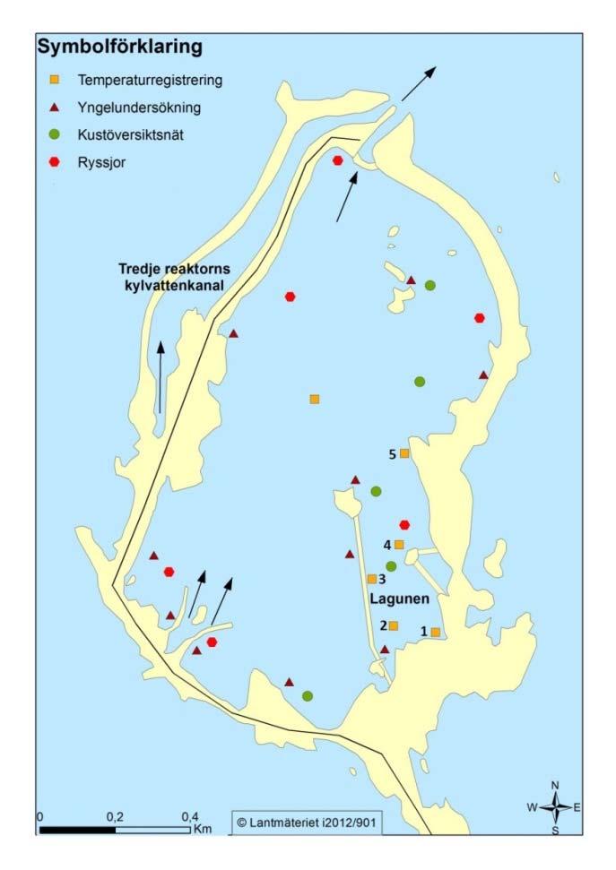 Figur 3. Översikt av Biotestsjön med provtagningspunkter för undersökningar av fisk och vattentemperatur.