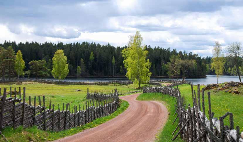 9 Ledolight tänker på miljön!