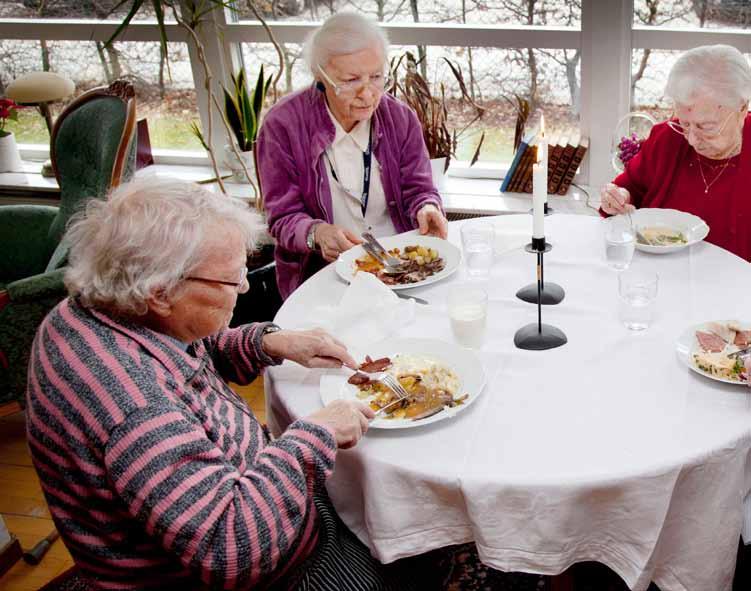 Inledning Dessa råd vänder sig främst till dig som arbetar inom kostverksamhet med exempelvis menyplanering eller matlagning.