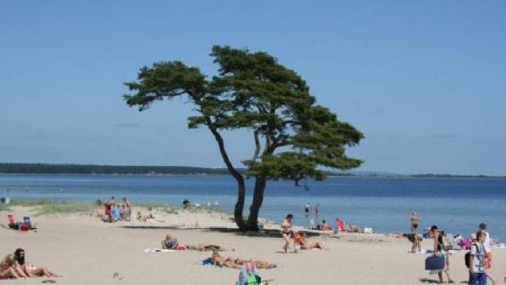 Stenshuvud (56.5 km) Naturreservatet Stenshuvud är en kulle, som sluttar ner i vattnet.