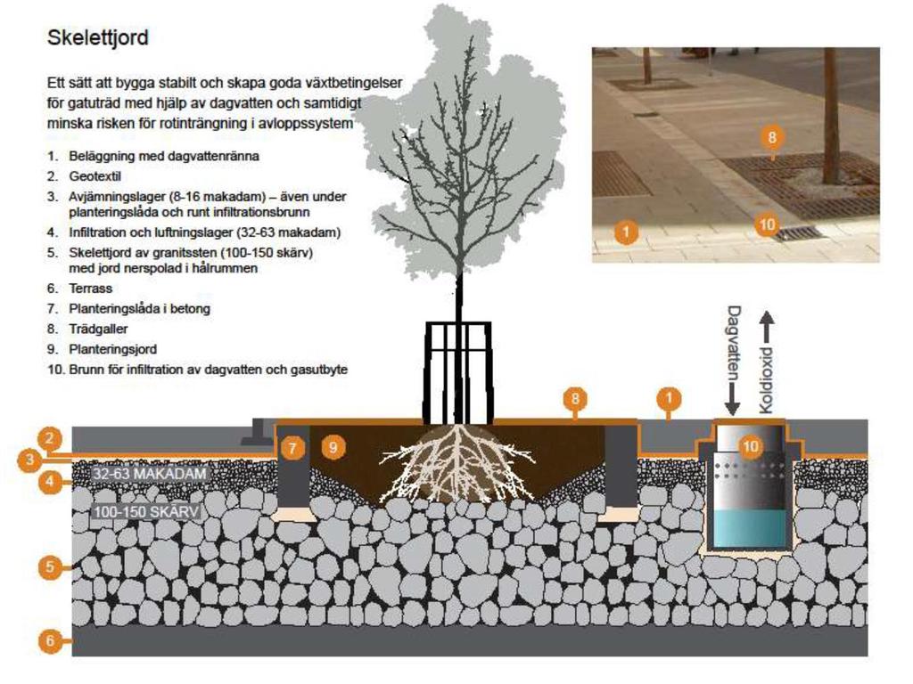 Sida 14 (16) Bild 7. Illustration över en skelettjordsmodell.