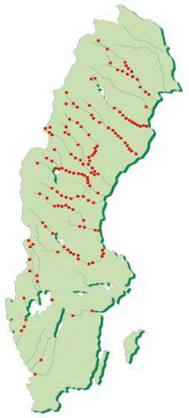 Anläggningen togs i drift år 1961 (Vattenkraft 2014). För anläggningen ingår fyllningsdammar, kanaler, reglerdammar samt ett intag för kraftstationen.