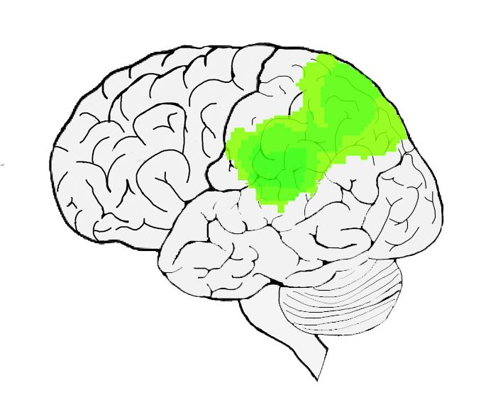 A.en/on to memory (AtoM) modellen (Cabeza et al.