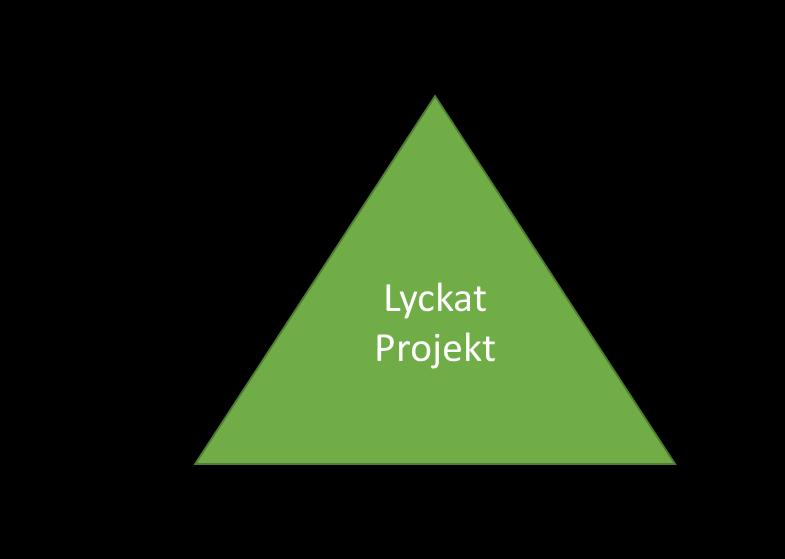 3 Man kan beskriva ett projekt som en triangel där varje sida har sin funktion och inverkan på projektet (figur 1). Var och en av sidorna påverkar varandra och fungerar som byggstenar.