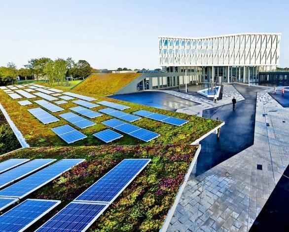 Solceller Gröna taksystem med integrerade solceller, kombinerar fördelarna med grönskan tillsammans med förnyelsebar energi, vilket