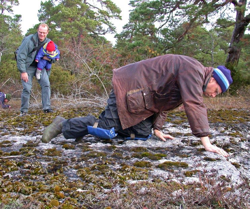 Dessa exkursioner är utmärkta tillfällen att träffa kunniga personer, och att se delar av Sverige och miljöer som man inte är bekant med hemifrån.