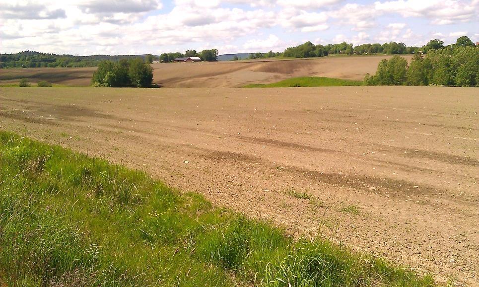 Fosforläckage genom ytavrinning och erosion på åkermark Fosforläckage på åkermark genom ytavrinning och erosion är en betydelsefull orsak till höga halter av partikelbunden fosfor i vattendrag och