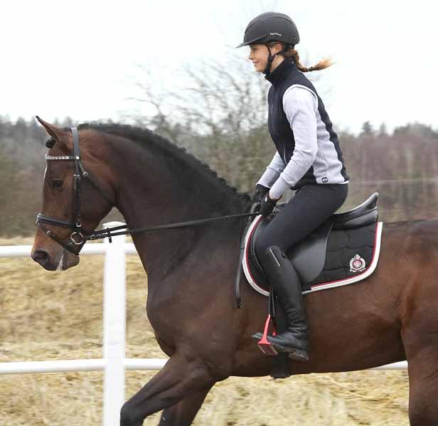 Hööks skor & stövlar för alla tillfällen! STOP! Contant Q 1203 Stigbyglar se sid 114 Schabrak se sid 119 Skaften finns i fyra olika varianter. Måttabell se sid 178. HORSEHEAD LÄDERSTÖVEL D.1.299,- A.